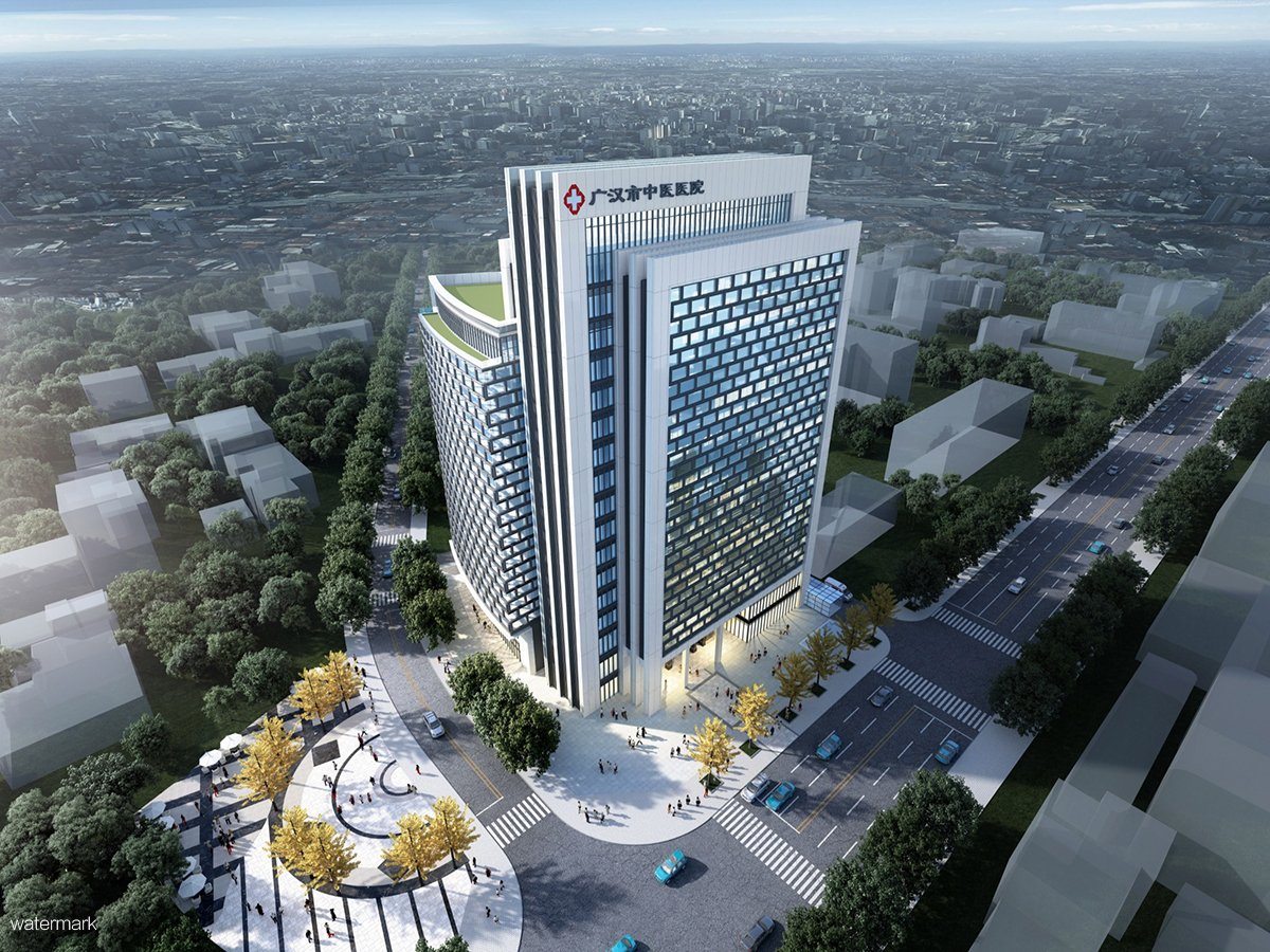 四川省廣漢市中醫醫院——智能防疫閘機健康碼項目