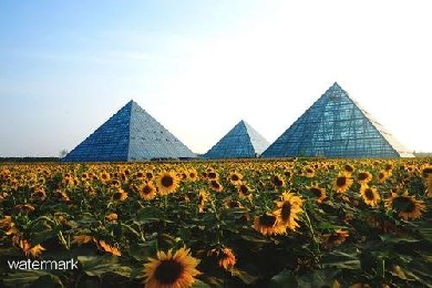 山東省省級田園綜合體（濰水田園綜合體）