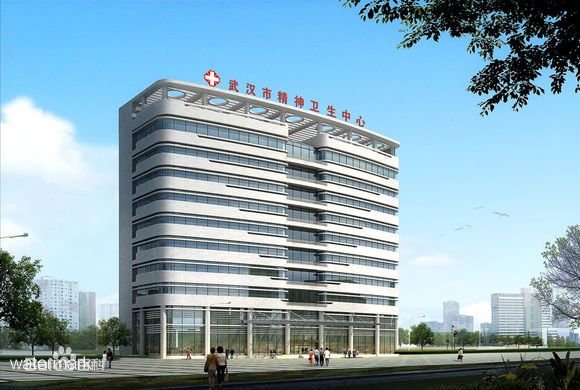 湖北省武漢市精神衛生中心——人臉識別測溫翼閘項目