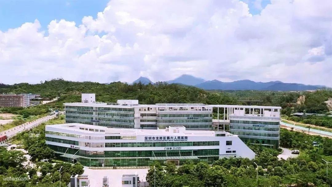 深圳市龍崗區第六人民醫院——粵康碼人臉識別測溫擺閘項目