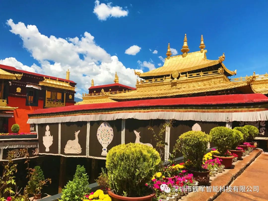 1693468840125066.jpg 640 (28).jpg