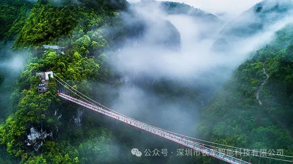 1747119206144534.jpg 4.jpg