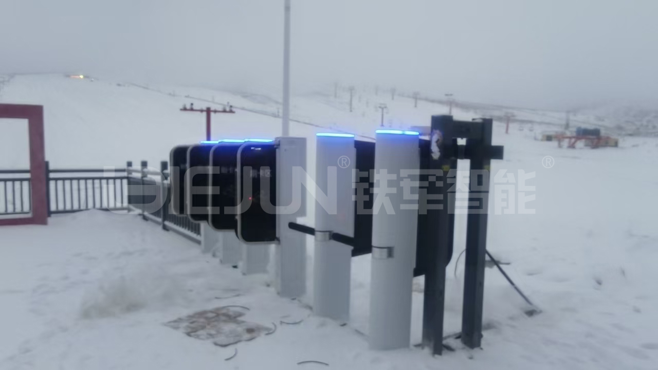 1757386674461260.jpg 4.jpg