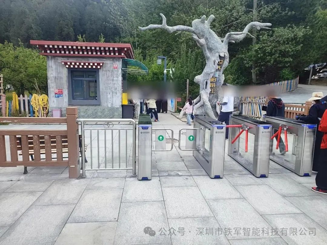 1762313819604806.jpg 3.jpg