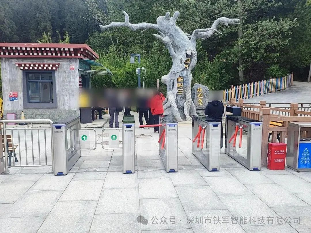 1762313833128123.jpg 4.jpg